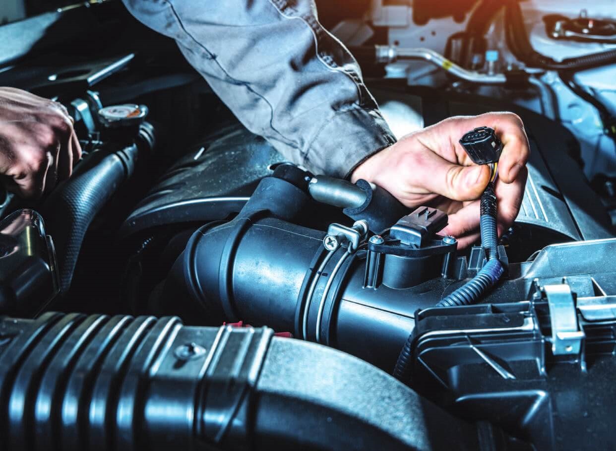 Delphi Training Academy