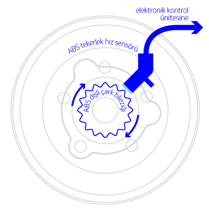 b_abs_sensor-situ_rgb_600_tu_300